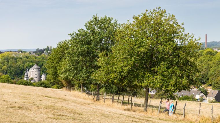Un paysage pittoresque avec des arbres verts et une pente douce. À l'arrière-plan, un bâtiment historique est visible, tandis que des promeneurs marchent le long d'un chemin.