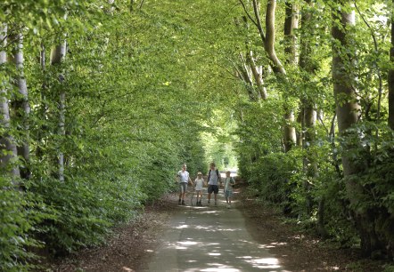 Chemin des haies à Eicherscheid, © Eifel Tourismus GmbH, Tobias Vollmer