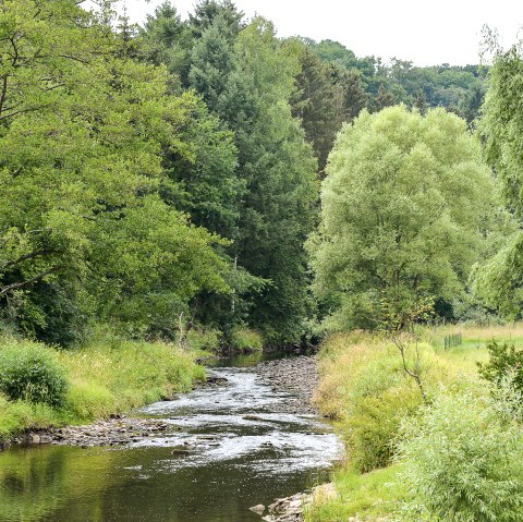 A small river meanders through a green landscape of trees and meadows. The sky is cloudy and the water reflects the surrounding greenery., © TI Bitburger Land