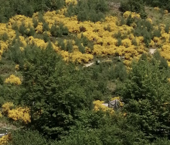Eisenwanderweg, Gemünd