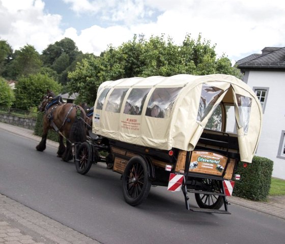 Planwagen, © Winter - Eifelreiterhof