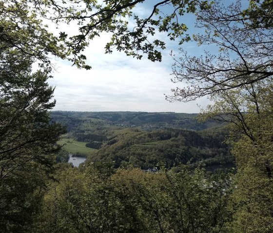 View Jiescheckerdeeischelche, © Gemeinde Simmerath