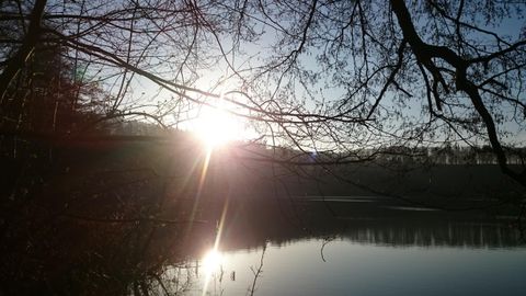 Een prachtige zonsopgang boven een rustig meer. Bomen omlijsten de scène en weerspiegelen het licht op het wateroppervlak.