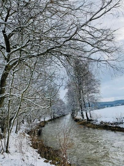 A quiet river, surrounded by snow-covered trees. The sky is cloudy and the landscape is wintry.