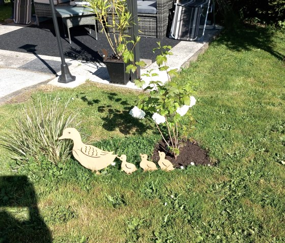 Garten Entenfamilie