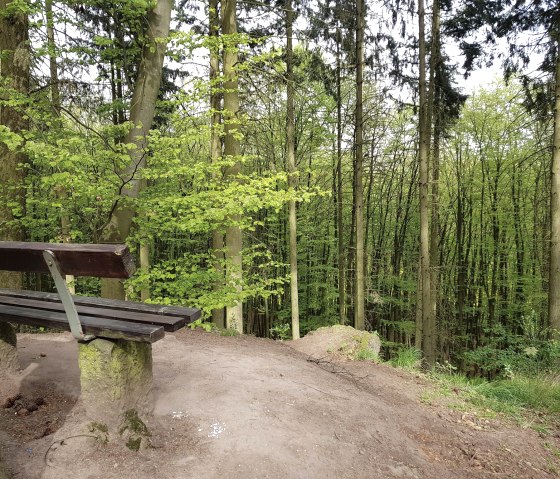 aire de repos-in-kottenheim