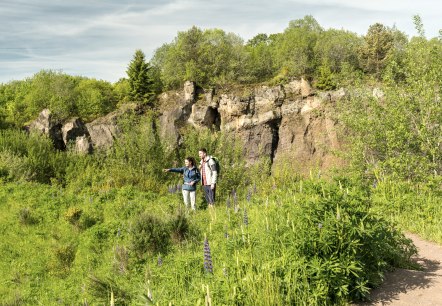 Steffeln vulkaantuin op het vulkanenpad, © Eifel Tourismus GmbH, Dominik Ketz