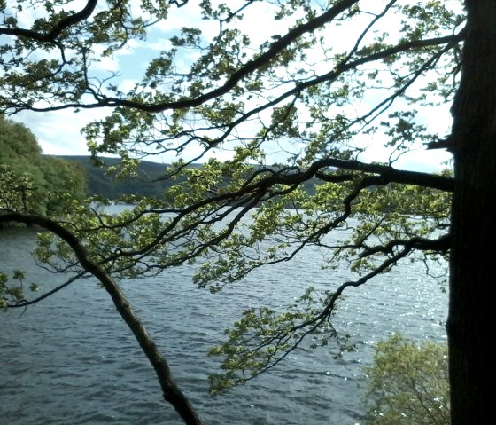 Rursee