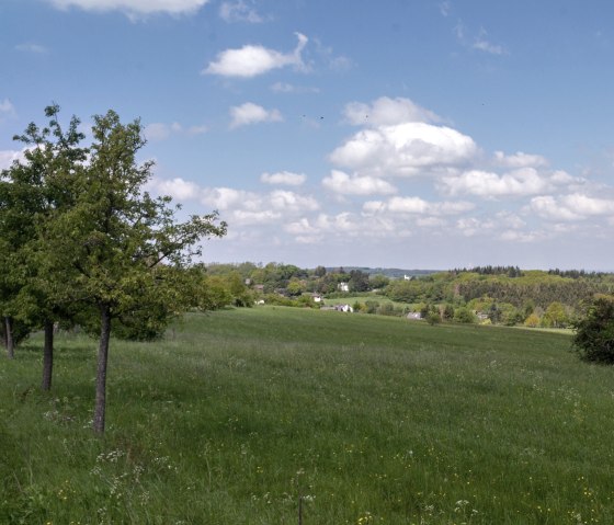 Eifelspur Kneipp hiking trail - view of the Bad Münstereifel forest, © Nordeifel Tourismus GmbH