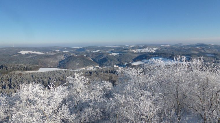 Eine winterliche Landschaft mit schneebedeckten Bäumen und klarem, blauem Himmel. Die Hügel erstrecken sich im Hintergrund.