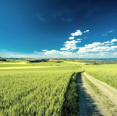 Paysage, © Kappest