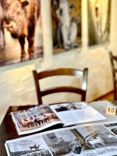 Ein Tisch mit offenen Tierfotobüchern und Stühlen im Hintergrund. An der Wand hängen Bilder von Tieren.