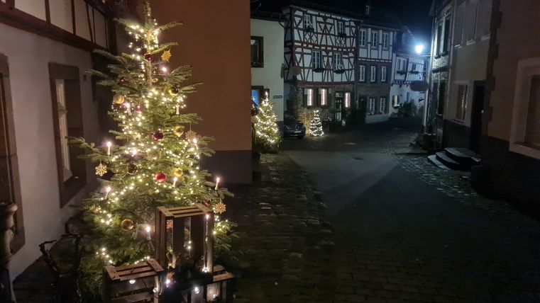 Weihnachtlich beleuchtete Gasse mit Fachwerkhäusern und geschmückten Tannenbäumen bei Nacht.