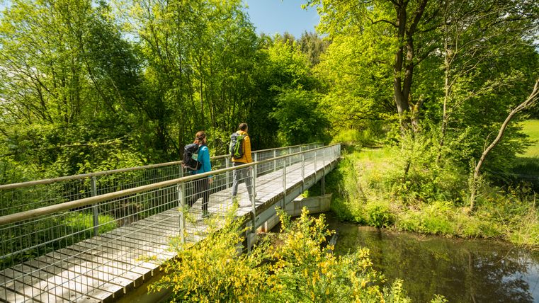 Deux personnes se promènent sur un pont dans la réserve naturelle de Mürmes, entourées d'arbres verts et de genêts jaunes.