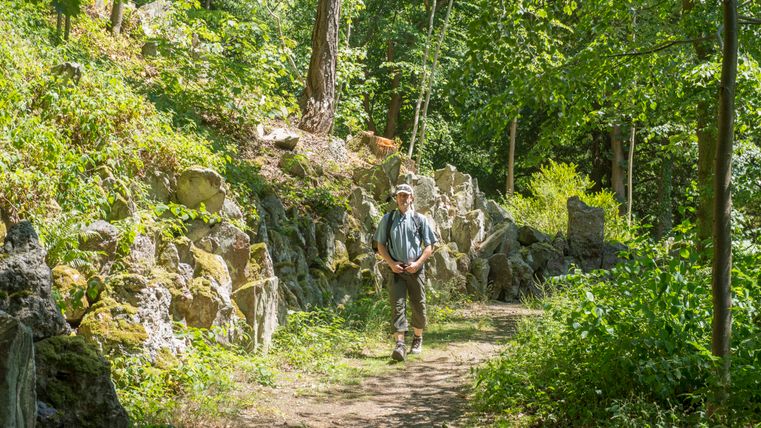 Persoon loopt over een bospad met rotsen en bomen.