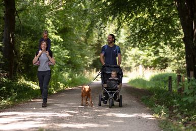 Ein Paar mit Kinderwagen und Hund