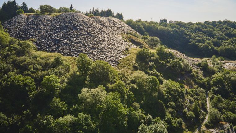 Einzigartige Flora und Faune lässt sich im Kaulenbachtal entdecken.