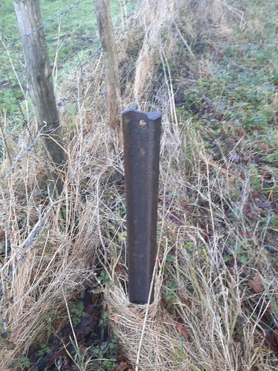 A rusty metal post stands in tall-growing grass. In the background, the ground and other posts are visible.