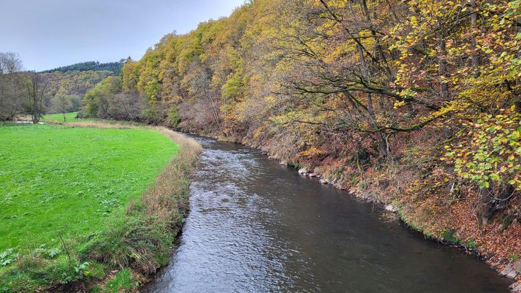 Ein ruhiger Fluss fließt durch eine herbstliche Landschaft. Auf der einen Seite gibt es saftiges Grün und auf der anderen Seite bunte Bäume.