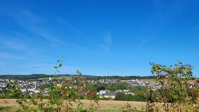 Un paysage rural avec un ciel bleu clair et une vue sur un petit village. Au premier plan, on peut voir des plantes buissonnantes.