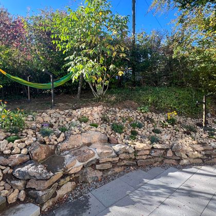 Ein gemütlicher Garten mit einer Hängematte und einer Steinmauer. Grüne Bäume und eine blaue Himmel sorgen für eine entspannte Atmosphäre.