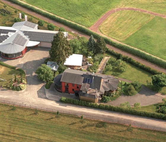 Domaine viticole & café vigneron Görgen Platten, © Tourist-Information Wittlich Stadt & Land