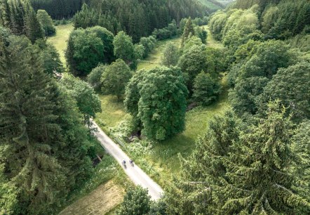Vorschaubild Prethbachtal - Eifel Tourismus GmbH, Dennis Stratmann, © Eifel Tourismus GmbH, Dennis Stratmann