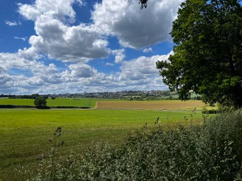 Landschaft mit grünen Feldern, Bäumen und bewölktem Himmel.
