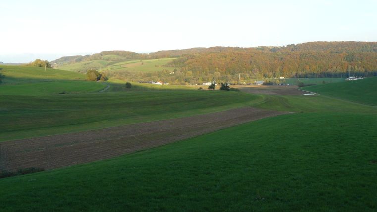 Uitgestrekt groen landschap met heuvels en bossen in de verte bij Mettendorf.