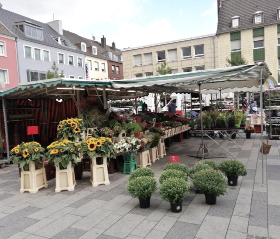 Marché hebdomadaire de Düren Stand de fleurs, © Win.dn GmbH