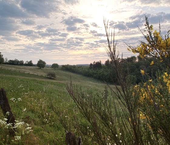 Sentier de ruisseau, paysage de prairie, © Naturpark Südeifel, V. Teuschler