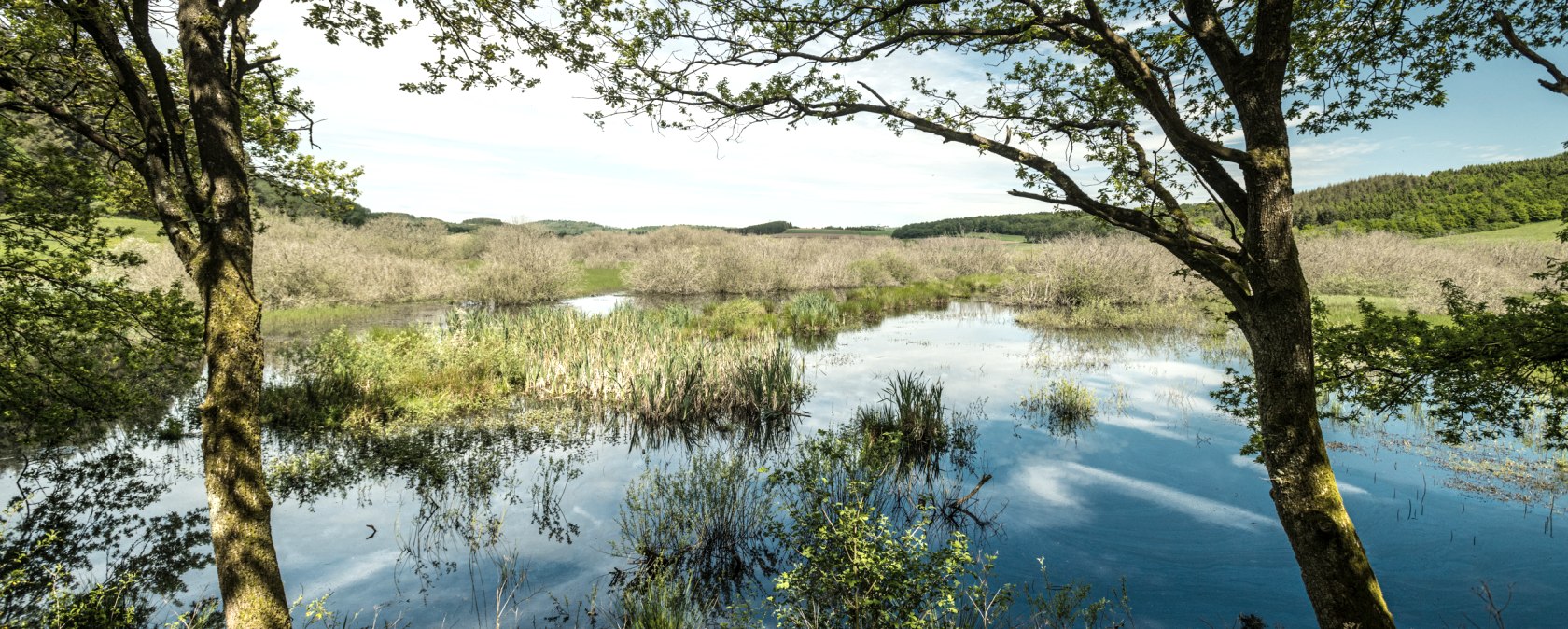 Réserve naturelle des Murmes, © Eifel Tourismus GmbH, Dominik Ketz