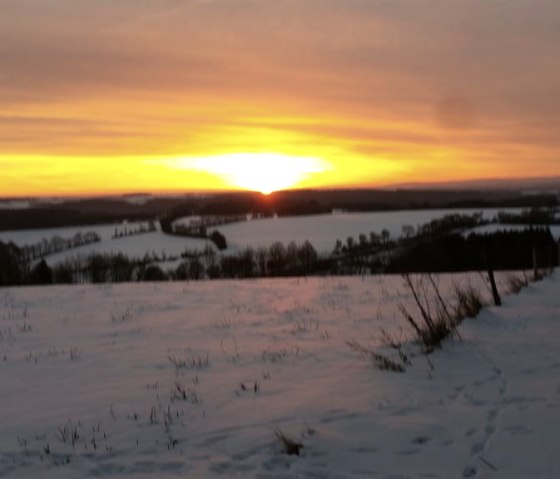 Winter morning
