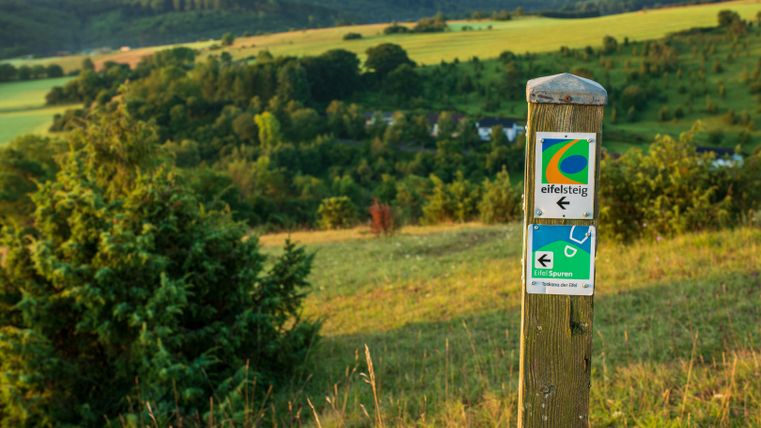 Wegweiser EifelSpur Toskana der Eifel in einer grünen Landschaft.
