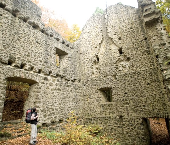 Le sentier de l'Eifel passe devant le Nerother Kopf, © Rheinland-Pfalz Tourismus/D. Ketz