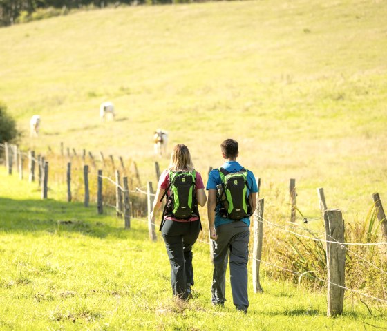 Manscheider Bachtal on the Castle Route, partner trail of the Eifelsteig, © Eifel Tourismus GmbH, Dominik Ketz