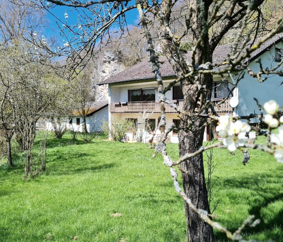 Le paradis
