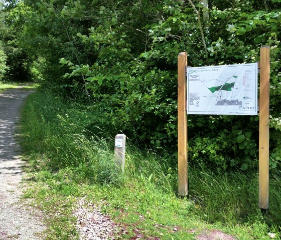 Ein schattiger Waldweg führt durch üppiges Grün. Rechts steht ein großes Informationsschild mit einer Karte. Der Weg ist von Bäumen gesäumt., © Tourist-Information Bitburger Land