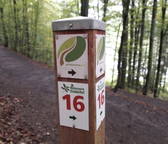A signpost in the Southern Eifel Nature Park indicates route 16. The path leads through a dense, green forest.