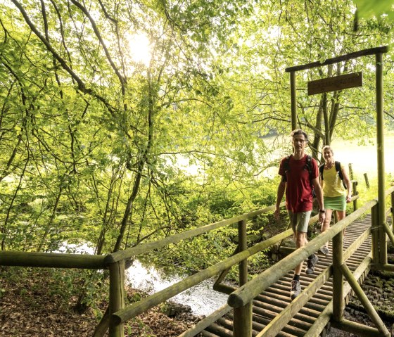 Sentier du ruisseau dans le NaturWanderPark delux, Ernst-Brücke sur l'Alfbach, © Eifel Tourismus GmbH, D. Ketz