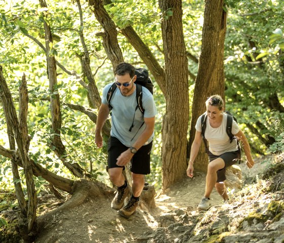 Waldpfad Etappe 5 AhrSteig, © Ahrtaltourismus, Dominik Ketz