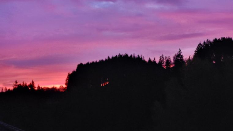 Een prachtige zonsondergang met een diep paarse lucht. Silhouetten van de bomen zijn op de voorgrond zichtbaar.