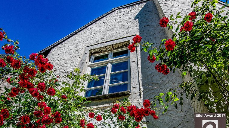 Ein charmantes Haus mit einem weißen Putz und einem schönen Fenster. Rote Rosen umrahmen die Fassade und der Himmel ist strahlend blau.
