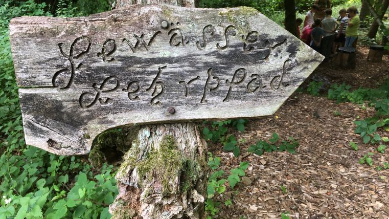 A weathered wooden sign with the inscription 'Gewässer Lehrpfad' in the forest.