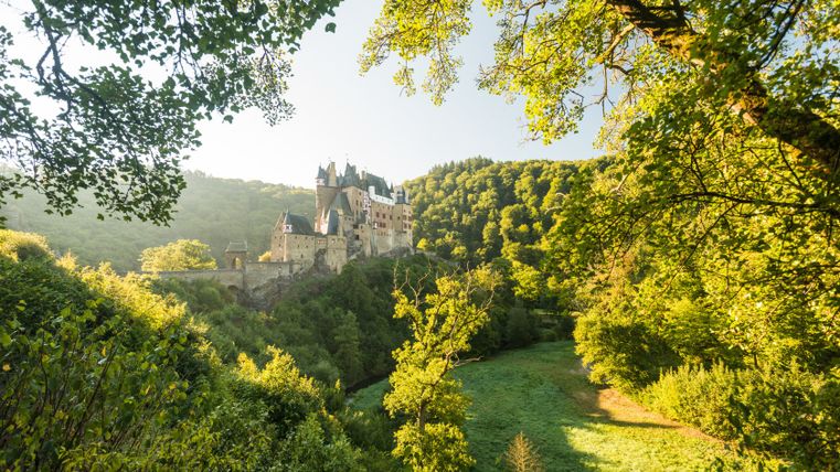 Kasteel Eltz omringd door groene bomen en weiden in het zonlicht.