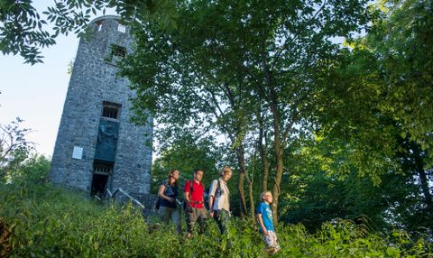 A group of people descend a wooded slope, next to a stone tower.