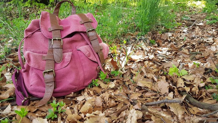 Ein pinkfarbener Rucksack liegt auf dem Boden im Wald. Um ihn herum sind trockene Blätter und frisches, grünes Gras.