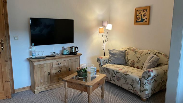 Een gezellige woonkamer met een televisie, een bank en een salontafel. Op de dressoir staan drankjes en een klein plantje.