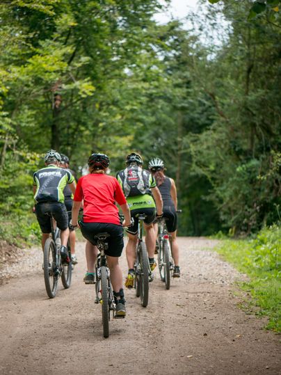 Eine Gruppe von Radfahrern fährt einen schmalen Weg in einem grünen Wald. Die Fahrer tragen Helme und Sportbekleidung.