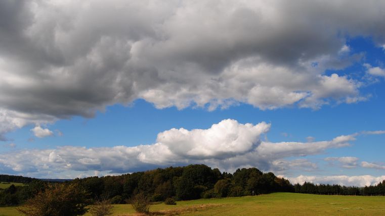 Een heuvel, begroeid met gras en bomen, onder een licht bewolkte lucht